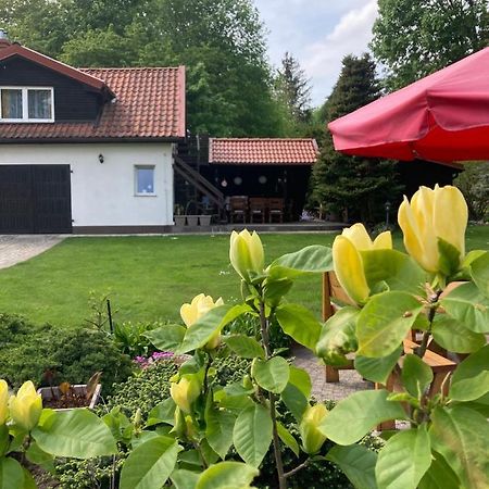 Apartamento Magnolia Kruklanki Exterior foto