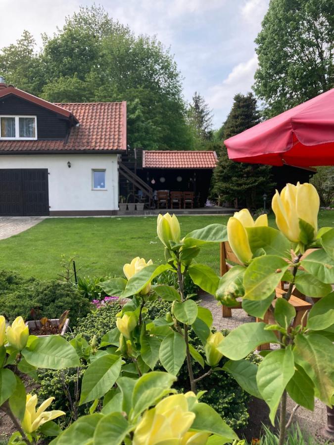 Apartamento Magnolia Kruklanki Exterior foto