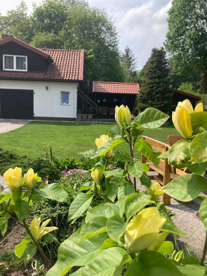 Apartamento Magnolia Kruklanki Exterior foto